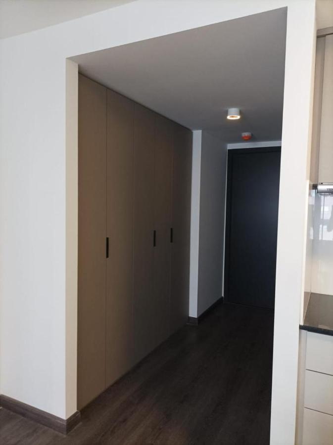 Apartamento A Estrenar En Punta Carretas มอนเตวิเดโอ ภายนอก รูปภาพ